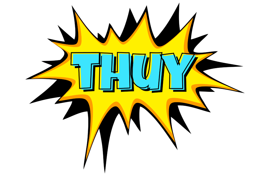 Thuy indycar logo