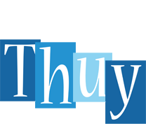 Thuy winter logo