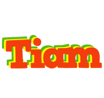 Tiam bbq logo