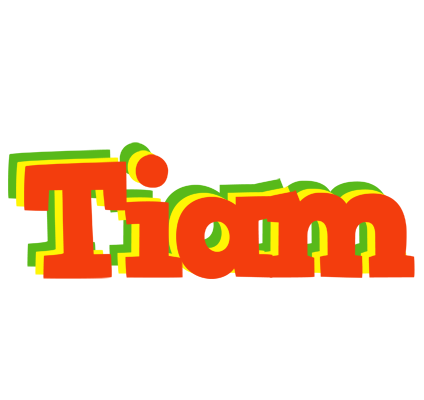 Tiam bbq logo