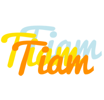 Tiam energy logo