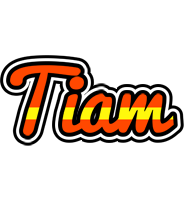 Tiam madrid logo