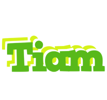 Tiam picnic logo