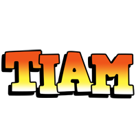 Tiam sunset logo