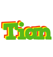 Tian crocodile logo