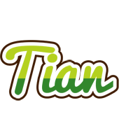 Tian golfing logo