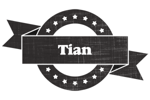 Tian grunge logo