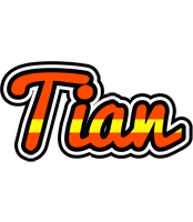 Tian madrid logo