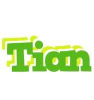 Tian picnic logo