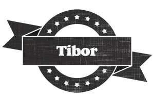 Tibor grunge logo