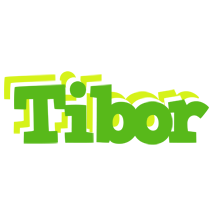 Tibor picnic logo