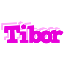 Tibor rumba logo