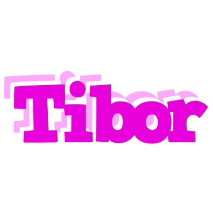 Tibor rumba logo