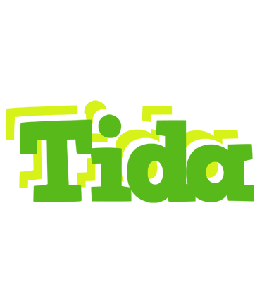 Tida picnic logo