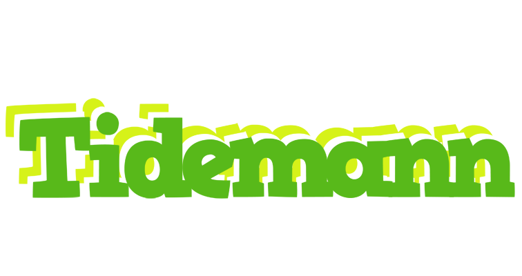 Tidemann picnic logo