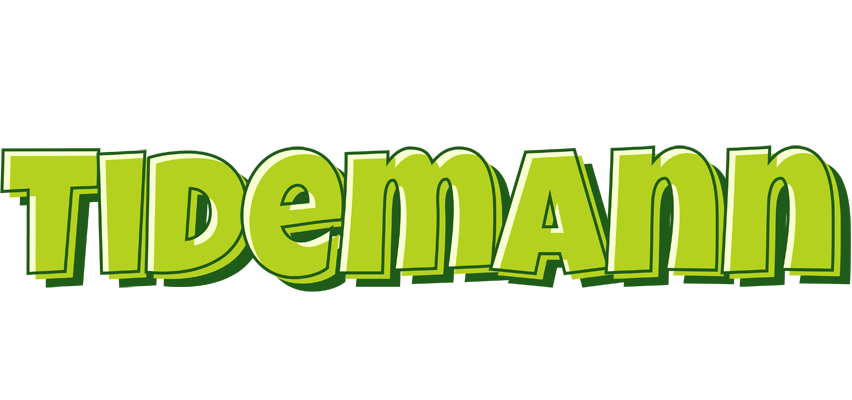 Tidemann summer logo