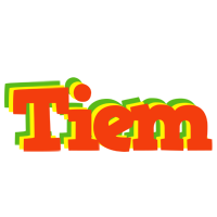 Tiem bbq logo