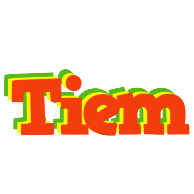 Tiem bbq logo