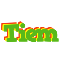 Tiem crocodile logo