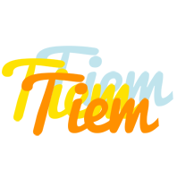 Tiem energy logo