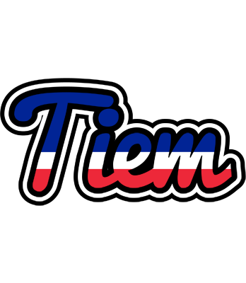 Tiem france logo