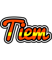 Tiem madrid logo