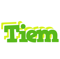 Tiem picnic logo