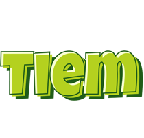 Tiem summer logo