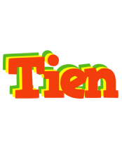 Tien bbq logo