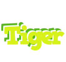 Tiger citrus logo