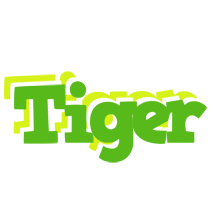 Tiger picnic logo