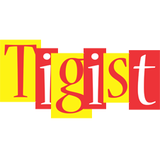 Tigist errors logo