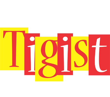 Tigist errors logo