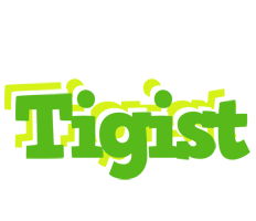 Tigist picnic logo