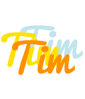 Tim energy logo