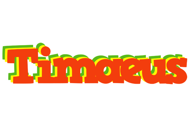 Timaeus bbq logo