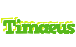 Timaeus picnic logo