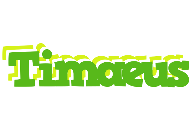 Timaeus picnic logo