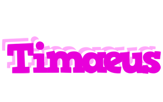 Timaeus rumba logo