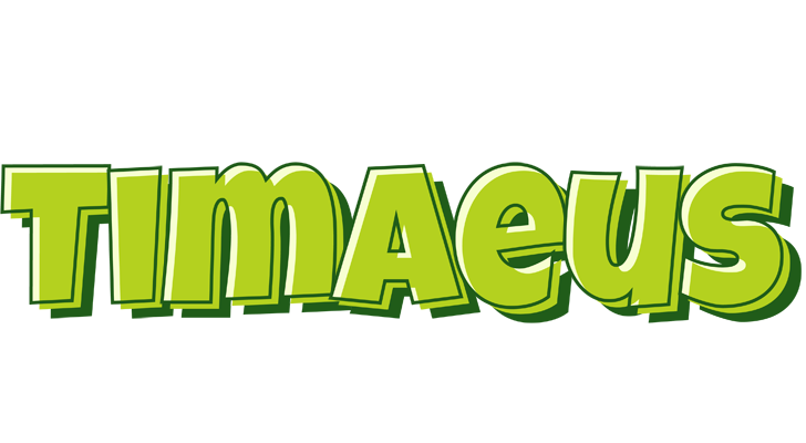 Timaeus summer logo