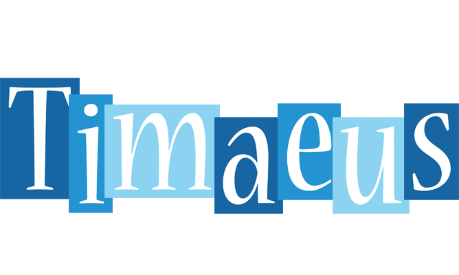 Timaeus winter logo