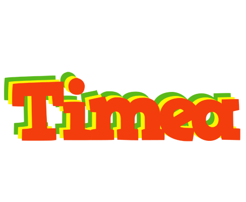 Timea bbq logo