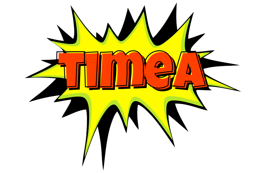 Timea bigfoot logo