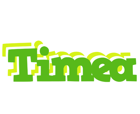 Timea picnic logo