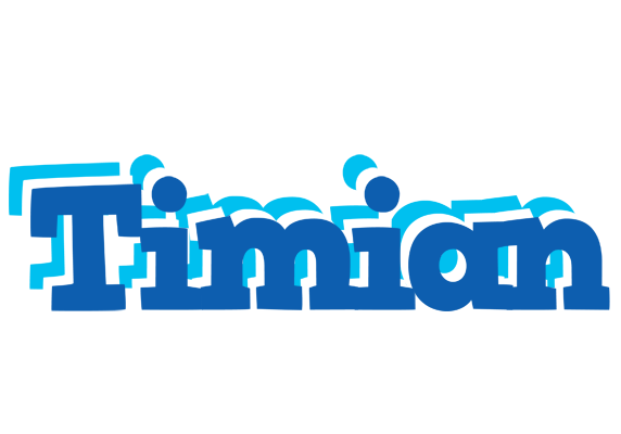 Timian business logo