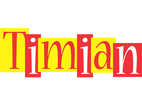 Timian errors logo