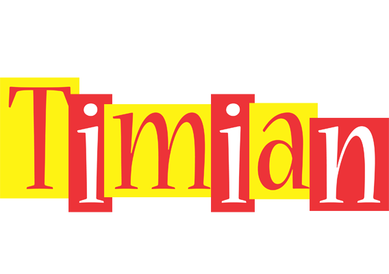 Timian errors logo