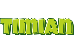 Timian summer logo