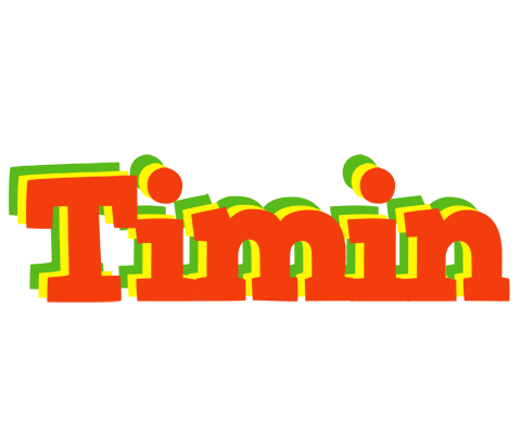 Timin bbq logo