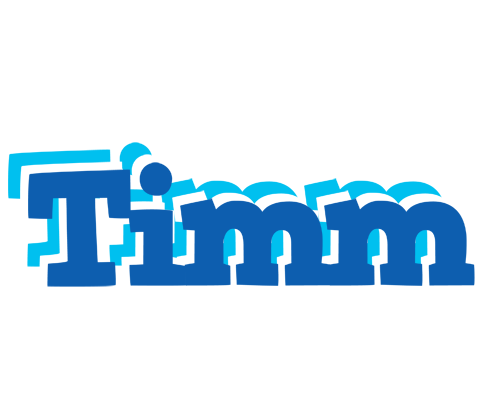 Timm business logo